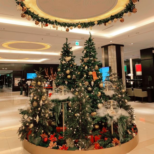 札幌 札幌観光 札幌グランドホテルのクリスマスツリー! 札幌 札幌観光 札幌グランドホテルのクリスマスツリー!