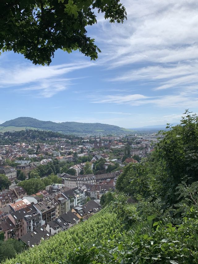 🇩🇪독일 프라이부르크 전망대 👀 슐로스베엌 🔭⛰