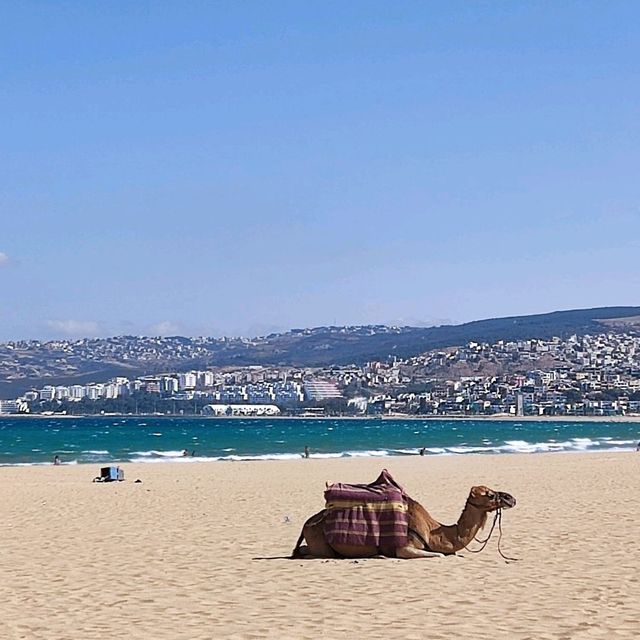 La Plage Municipale La Plage Municipale