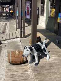 Chuyện của Xíu