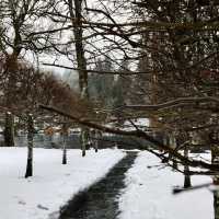 Movie scene: Hidden Gem in Scotland!
