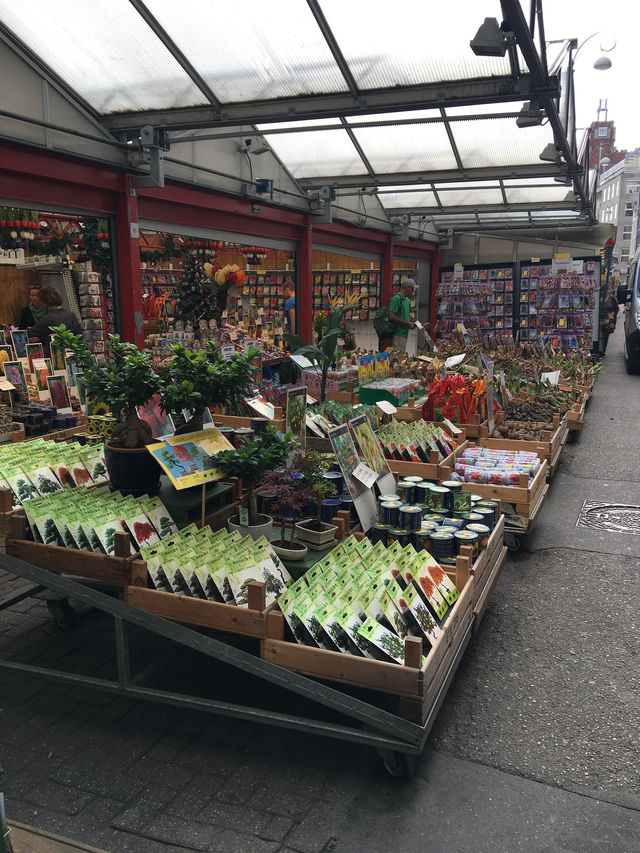 Flower Market ศูนย์รวมดอกไม้แห่ง Amsterdam