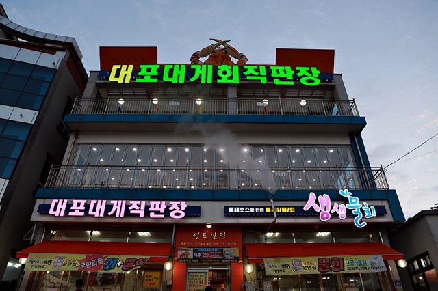 속초 대게 맛집. 대포대게회직판장