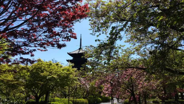 京都東寺