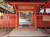 世界文化遺產日本春日大社