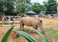 A day trip to the surprising Malaysia Wildlife Park.