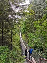 Capilano Suspension Bridge Park