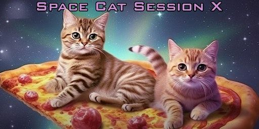 Space Cat Session 10 | Patricia’s Green In Hayes Valley