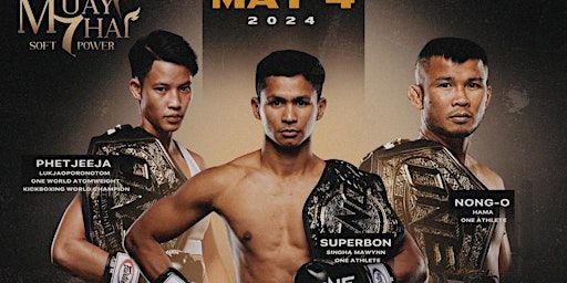 Amazing MuayThai MasterClass | Hilton Reading