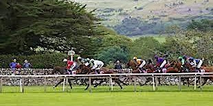 The horse racing festival is extremely attractive | Los Angeles, CA 90044, USA