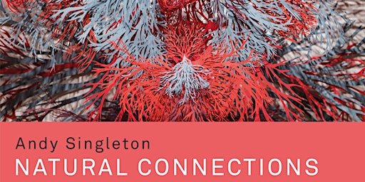 Andy Singleton, Natural connections | SPACE Ilford