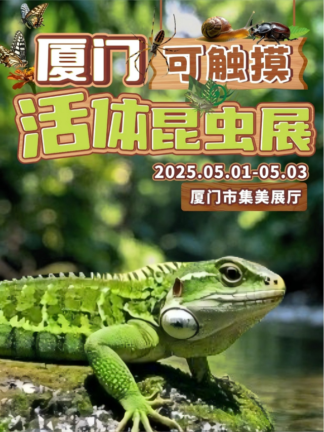 可觸摸-廈門昆蟲展｜展覽休閒 | 廈門集美新城市民廣場