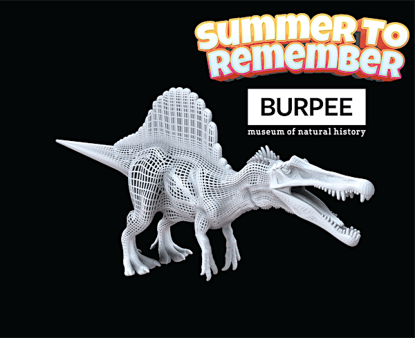 Burpee Museum's 2024  Summer Day Camp: Science Innovation Lab, July 14 - 18 | Burpee Museum of Natural History