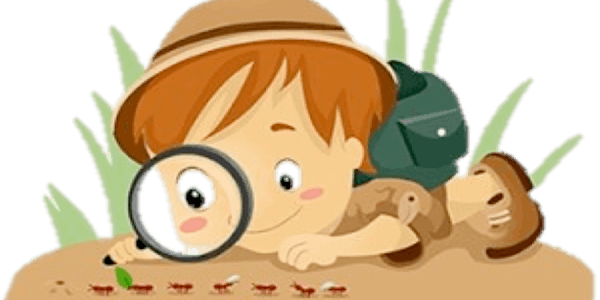 Dr Bell's Summer 2025 - Little Explorers Into the Woods | St Marks Park