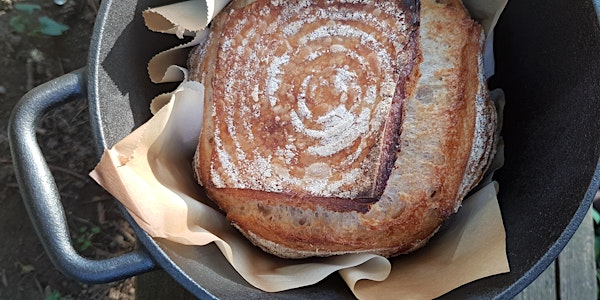 The Sourdough Experience - Level I (Sept.9.2025) | Red Hen Artisanale