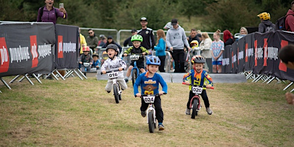 The Balance Bike World Championships - Friday - Quad Eliminator | Eastnor Deer Park
