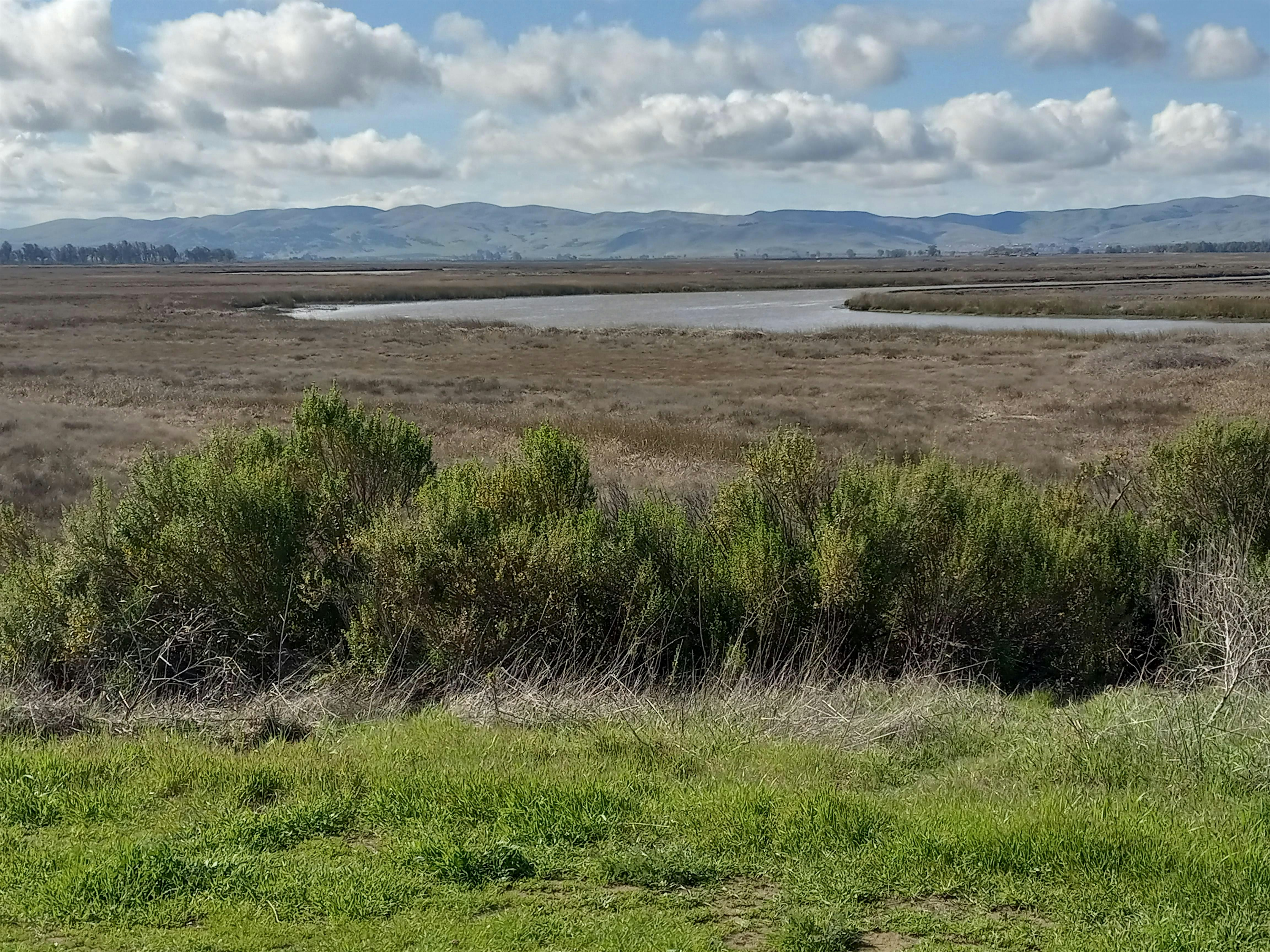 Rush Ranch Roundup | Rush Ranch Open Space