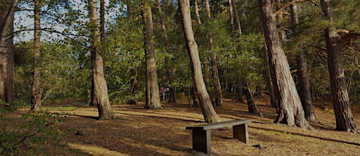 California Country Park - Family Friendly | California Country Park