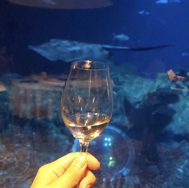 在水底的餐廳