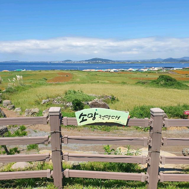 청보리로 유명한 가파도 