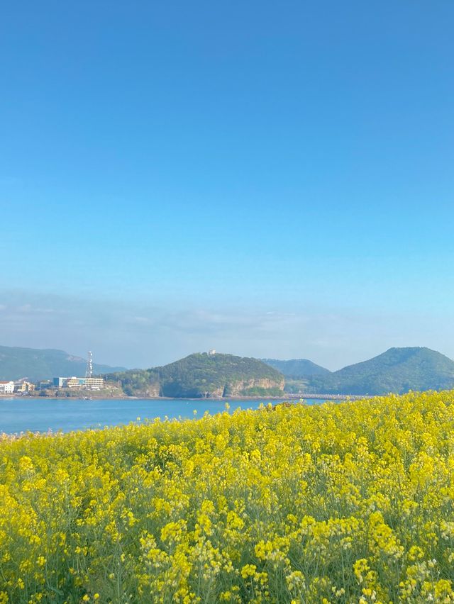 부안 수성당: 아름다운 노란색 물결