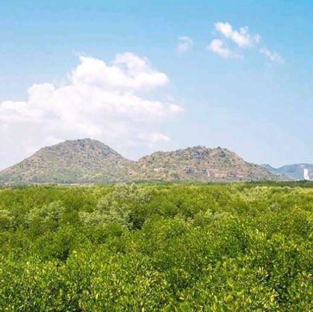 วนอุทยานปราณบุรี☘️🌳
