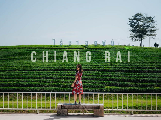 Chiang Rai