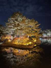 경주 야경 명소, 동궁과 월지