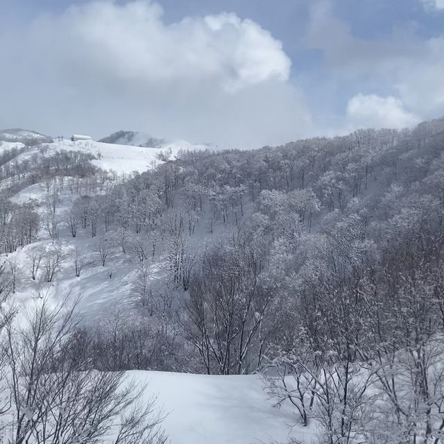 日帰りで行きやすいスキー場！