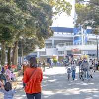 春の横浜公園・日本大通り側