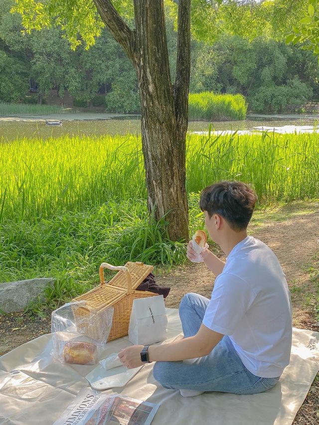 ⛱서울숲 피크닉 스팟은 여기✨