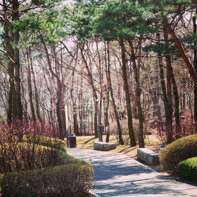 화성 롤링힐스 호텔에서 호캉스