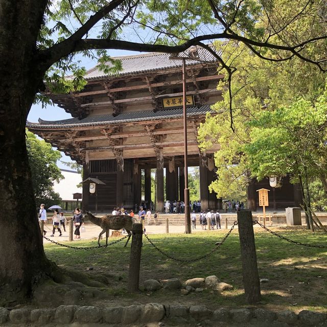 【東大寺・南大門】奈良の中の鎌倉時代