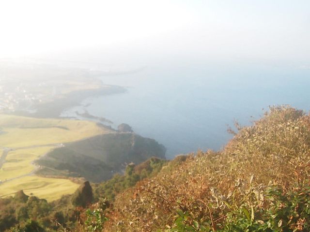 世界自然文化遺產｜日出城山峰⛰️