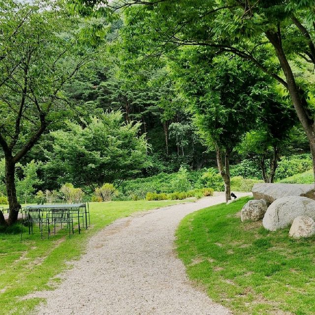 슬로우스톤 뷰좋은 대구 비슬산 카페