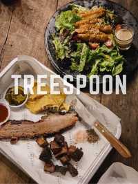 TREESPOON | เชียงใหม่ 🍴