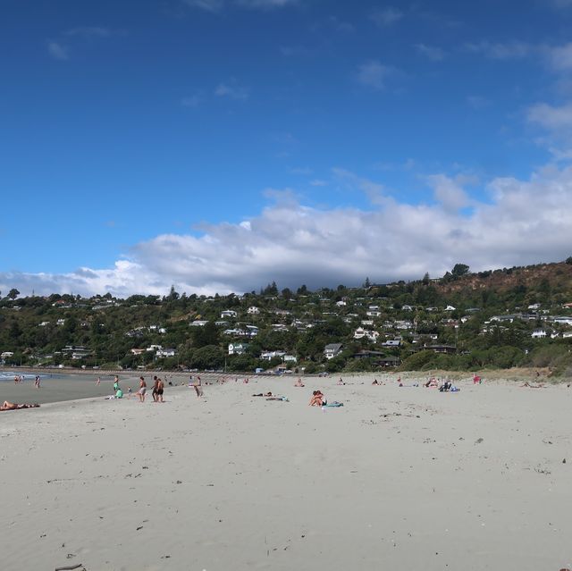 뉴질랜드 남섬🇳🇿 아름다운 해변을 찾고있다면, 타후나누이 비치로!🌊