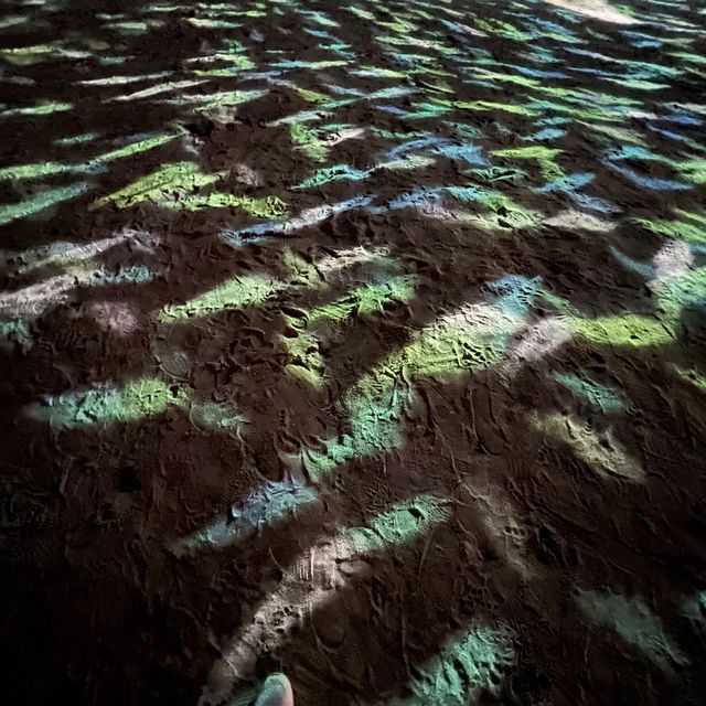 Magical Shores @ Siloso