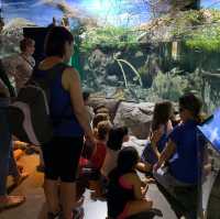 Seville aquarium 