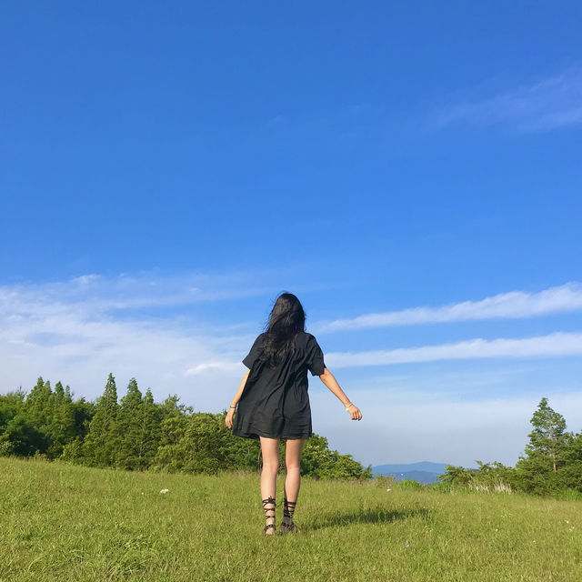 [경북/경주]경주에서 인생샷과 피크닉을 한 번에!❣️