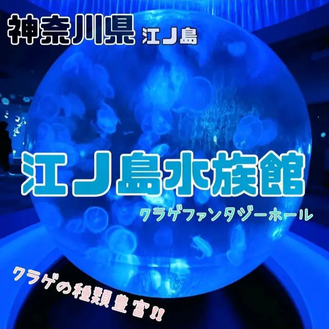 【新江ノ島水族館】神奈川県/江ノ島