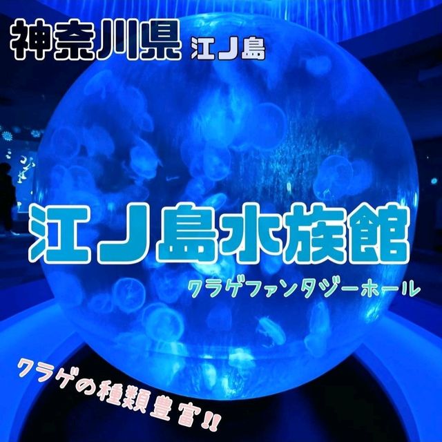 【新江ノ島水族館】神奈川県/江ノ島