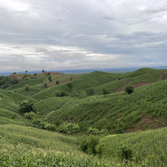 ถนนลอยฟ้าจังหวัดแพร่ ถนนหมายเลข 1343🌳🛣️