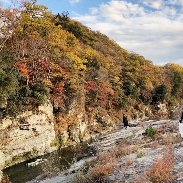 Nagatoro Fall Foliage