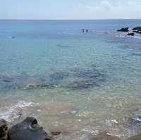 sunny manly beach