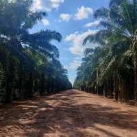 Koh Rong Sonloem