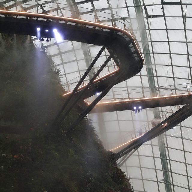 Tropical Waterfall and Flower Dome
