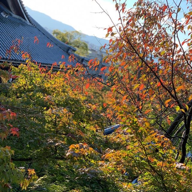 永観堂【メイン観光地よりも落ち着いた雰囲気】