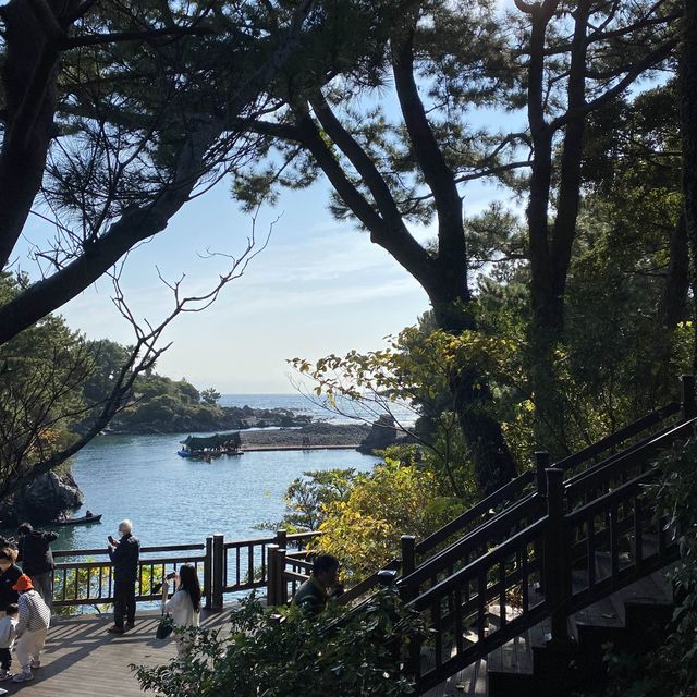 제주도 여행 꼭 가봐야할 곳 쇠소깍