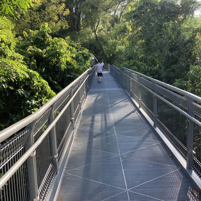 brisk walk from Alexander Trail to Mt Faber